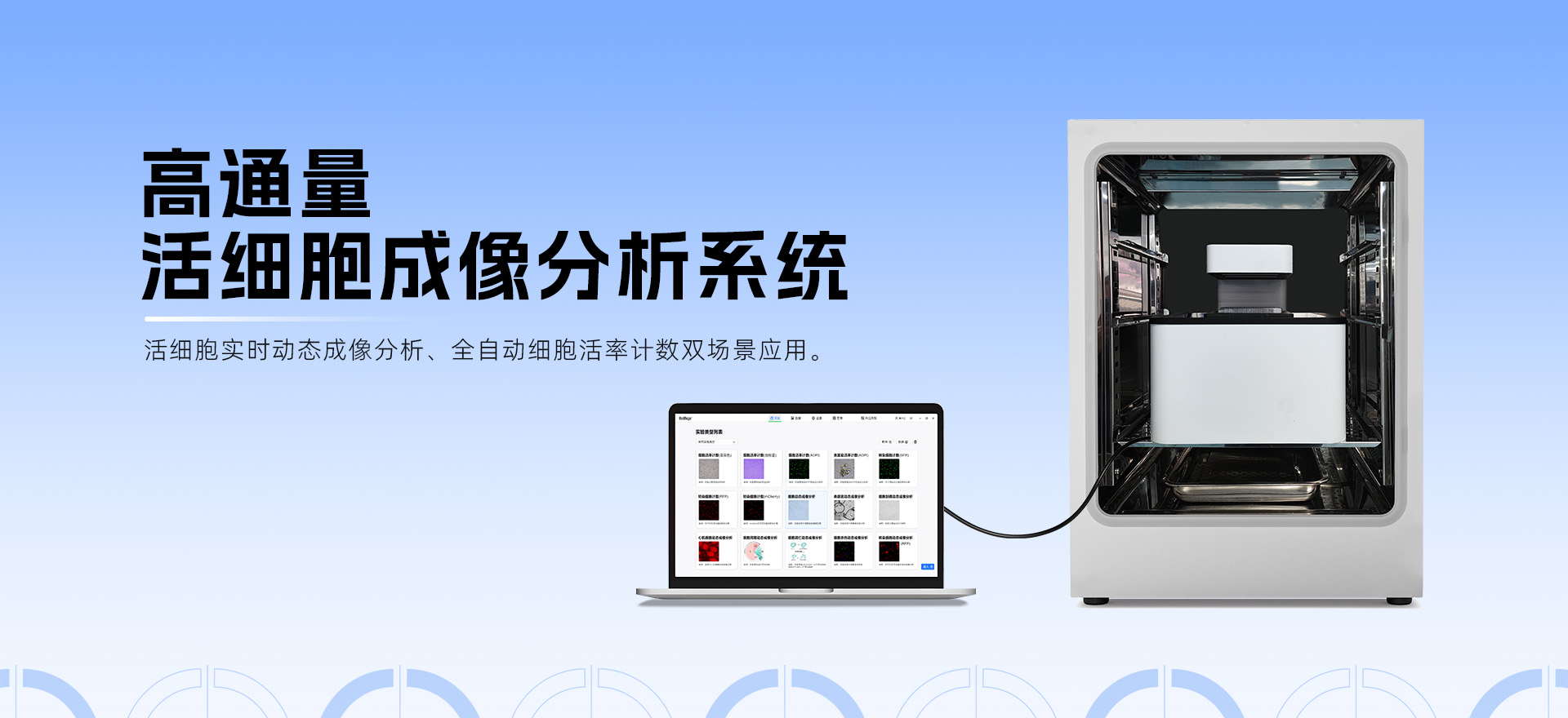 高通量活細胞成像技術：引領細胞凋亡研究進入動態全景解析時代